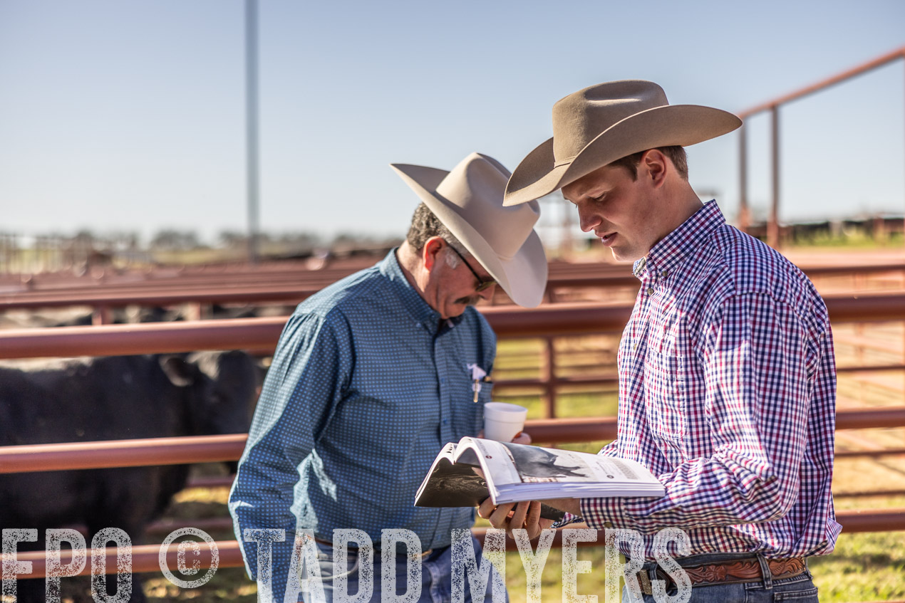 TMyers_SpringBullSale_Cameron_Feb2024-512705
