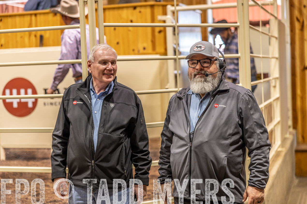 TMyers_SpringBullSale_Cameron_Feb2024-512739