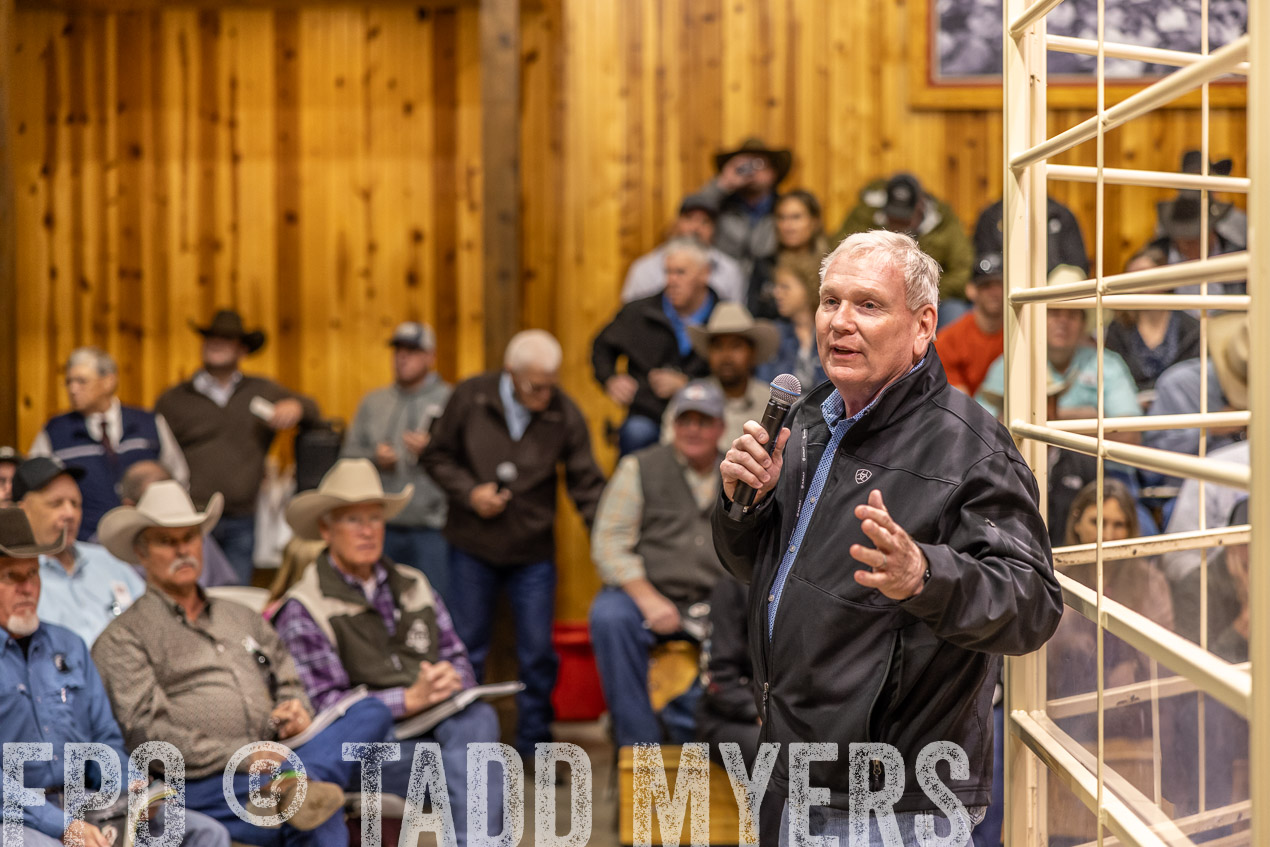 TMyers_SpringBullSale_Cameron_Feb2024-512752