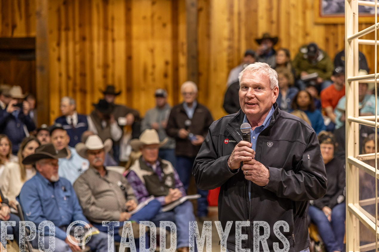 TMyers_SpringBullSale_Cameron_Feb2024-512756