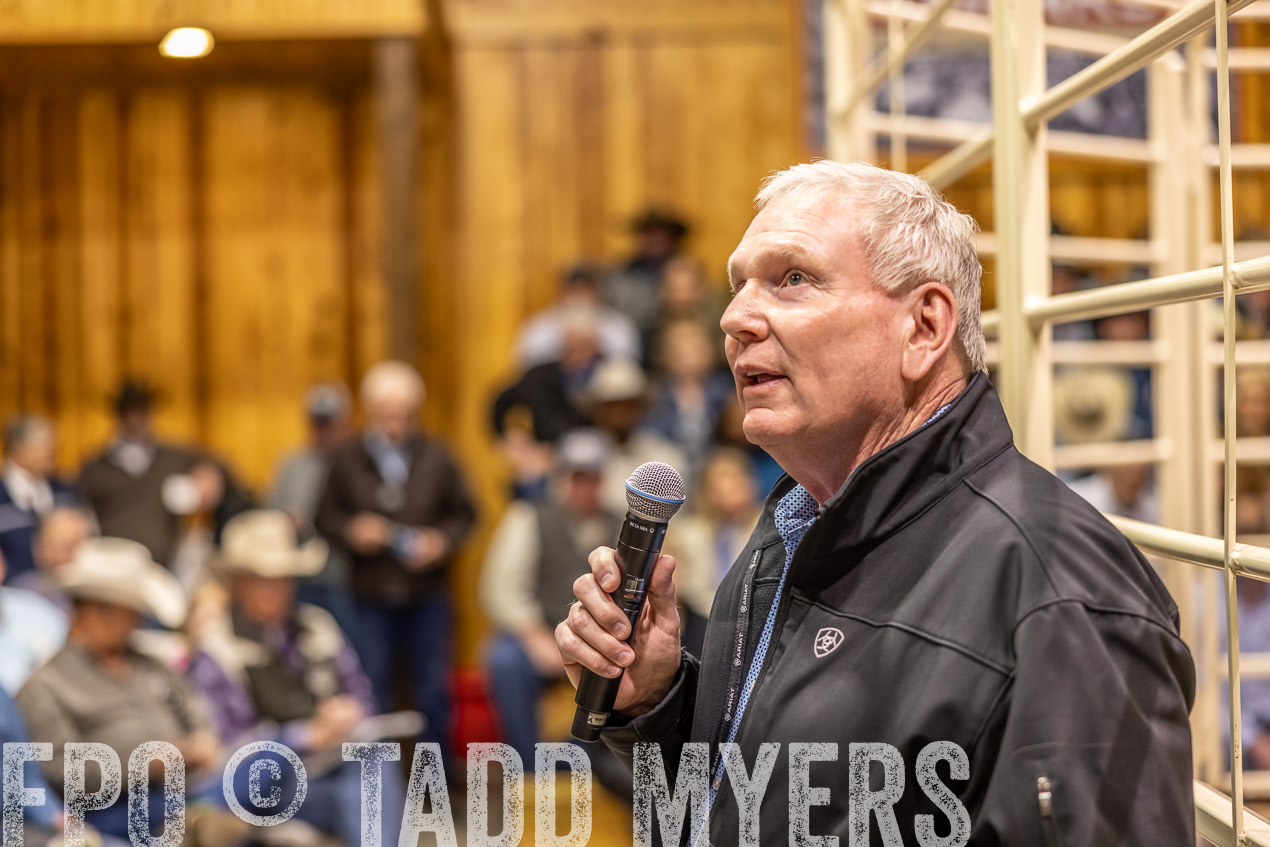 TMyers_SpringBullSale_Cameron_Feb2024-512766