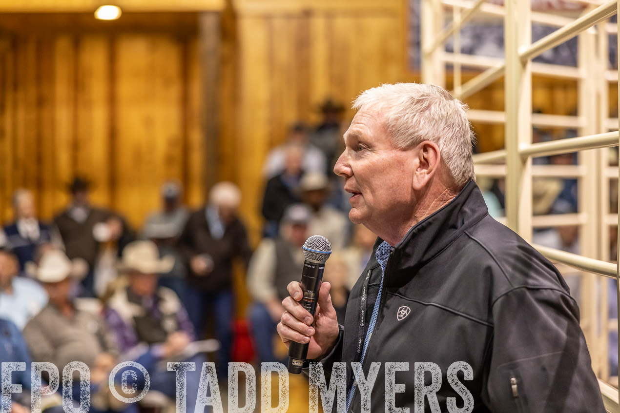 TMyers_SpringBullSale_Cameron_Feb2024-512769