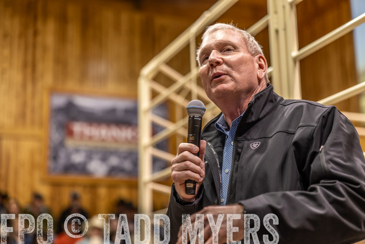 TMyers_SpringBullSale_Cameron_Feb2024-512786