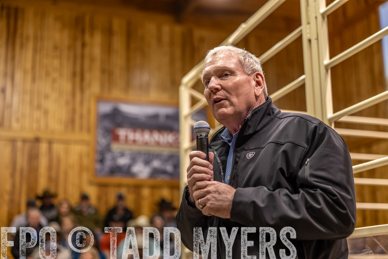 TMyers_SpringBullSale_Cameron_Feb2024-512790