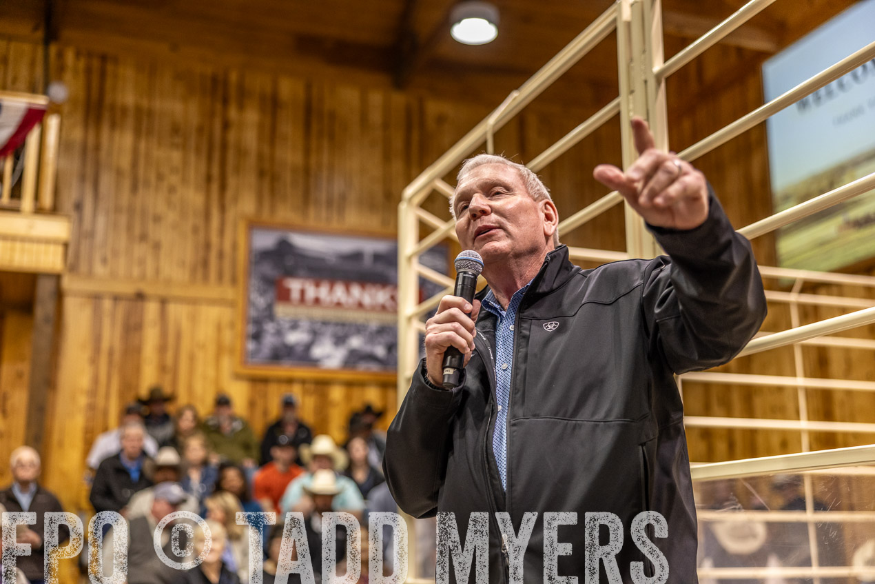 TMyers_SpringBullSale_Cameron_Feb2024-512795