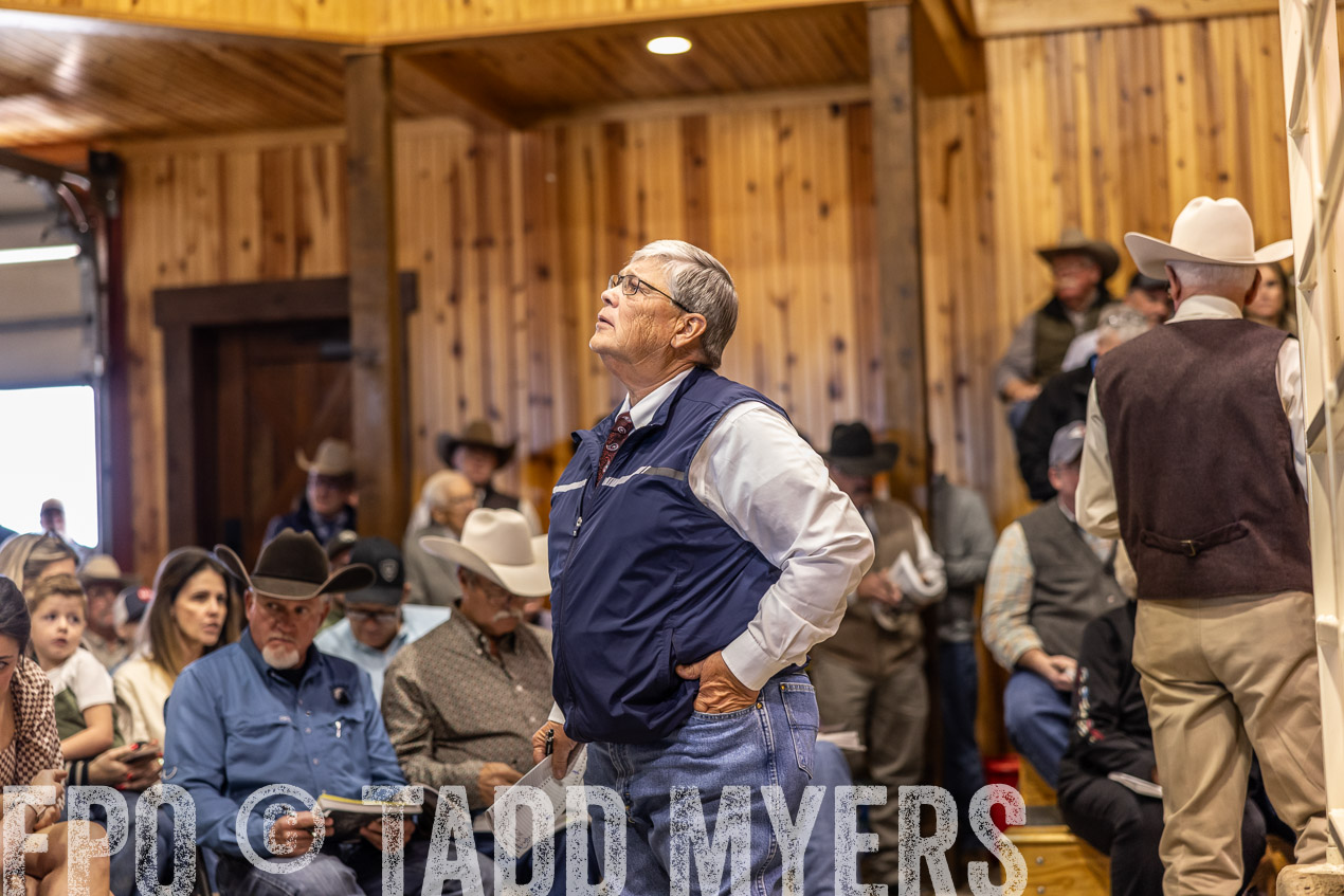 TMyers_SpringBullSale_Cameron_Feb2024-512820