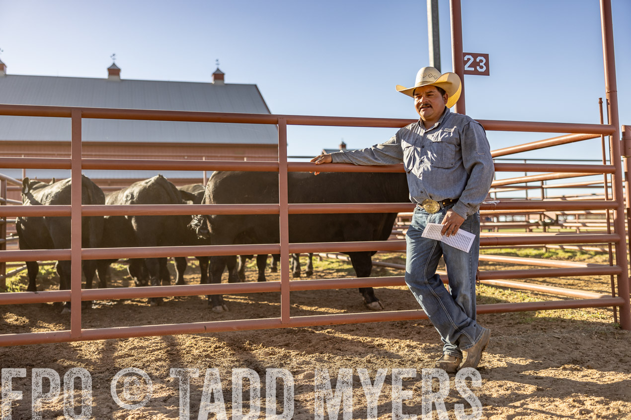 TMyers_SpringBullSale_Cameron_Feb2024-512876