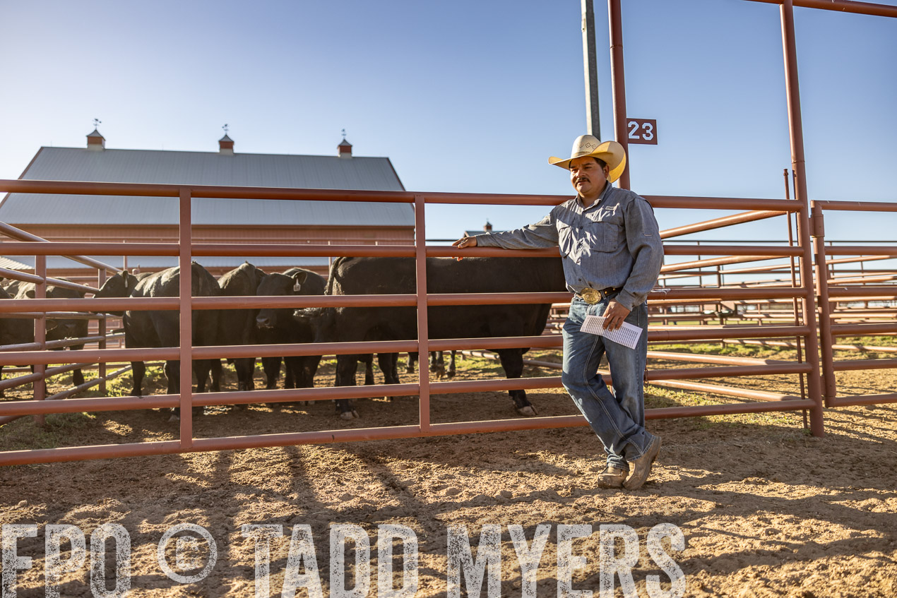 TMyers_SpringBullSale_Cameron_Feb2024-512878