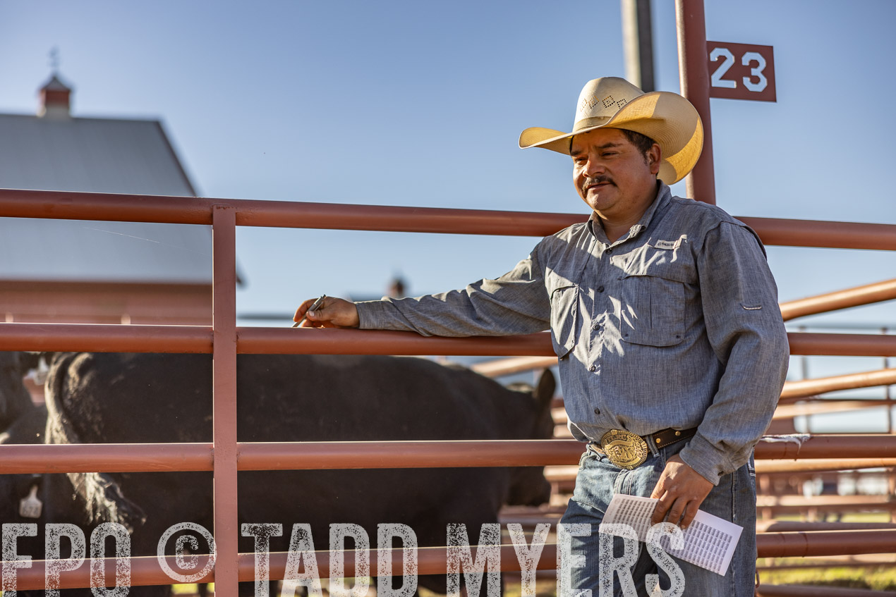 TMyers_SpringBullSale_Cameron_Feb2024-512881