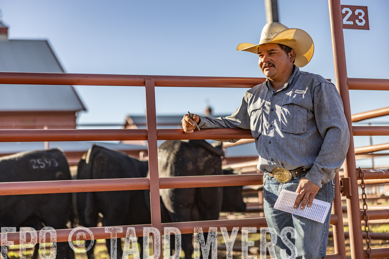 TMyers_SpringBullSale_Cameron_Feb2024-512884