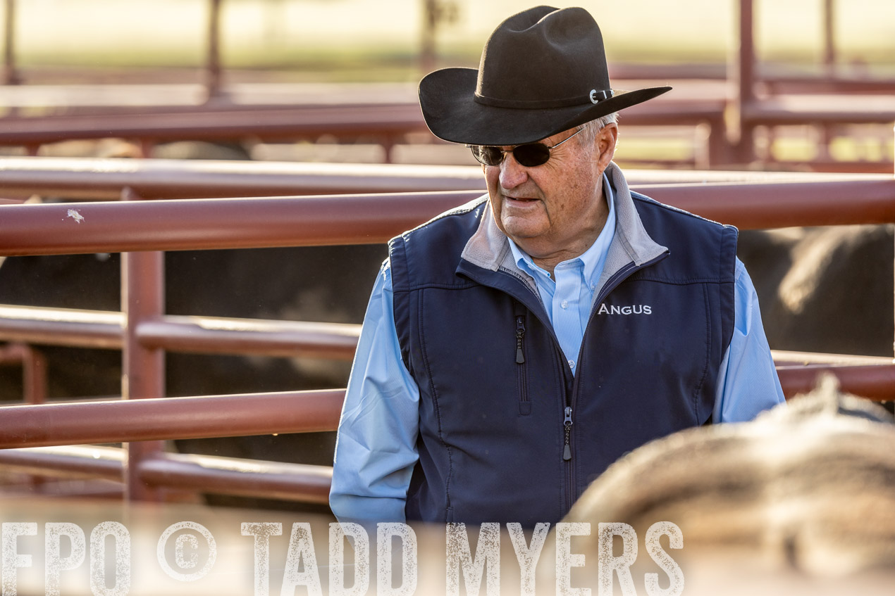 TMyers_SpringBullSale_Cameron_Feb2024-520018