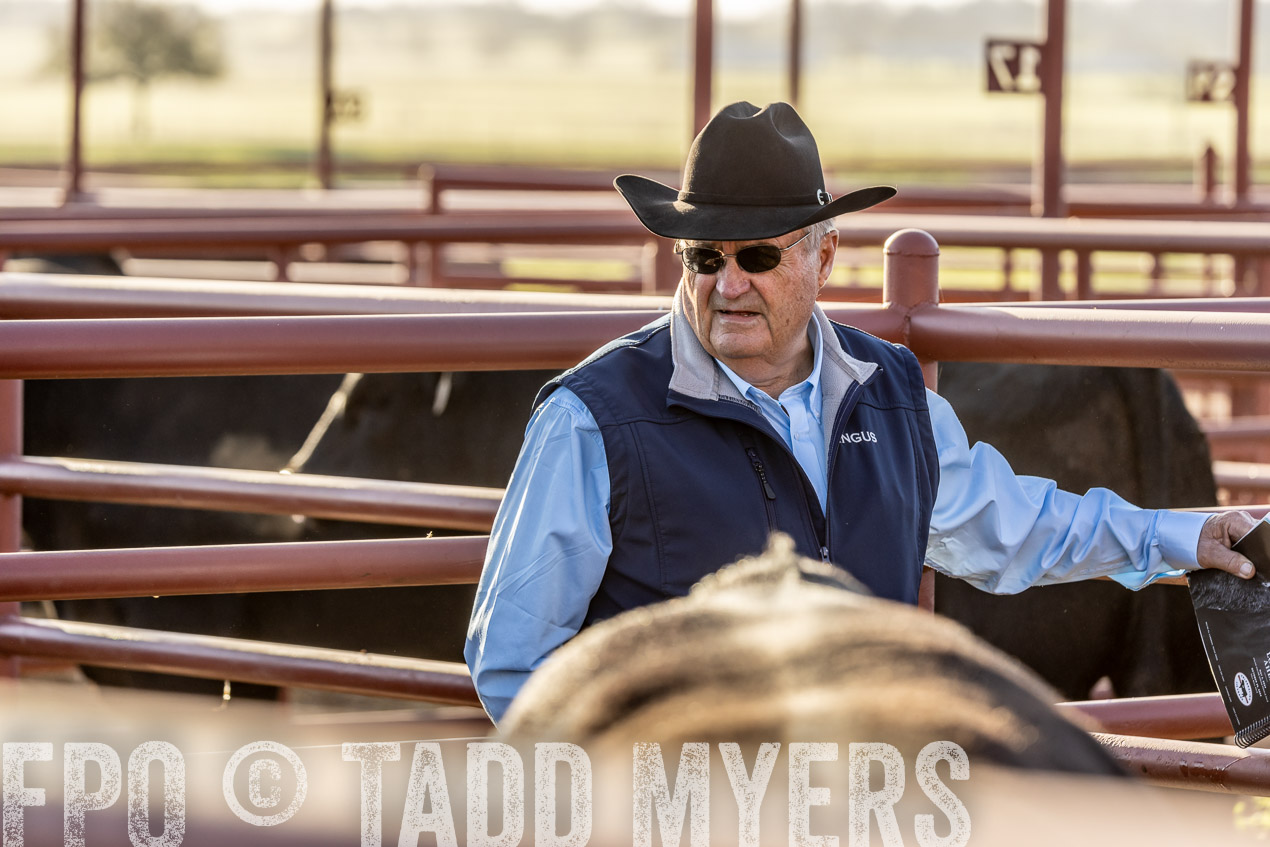 TMyers_SpringBullSale_Cameron_Feb2024-520023