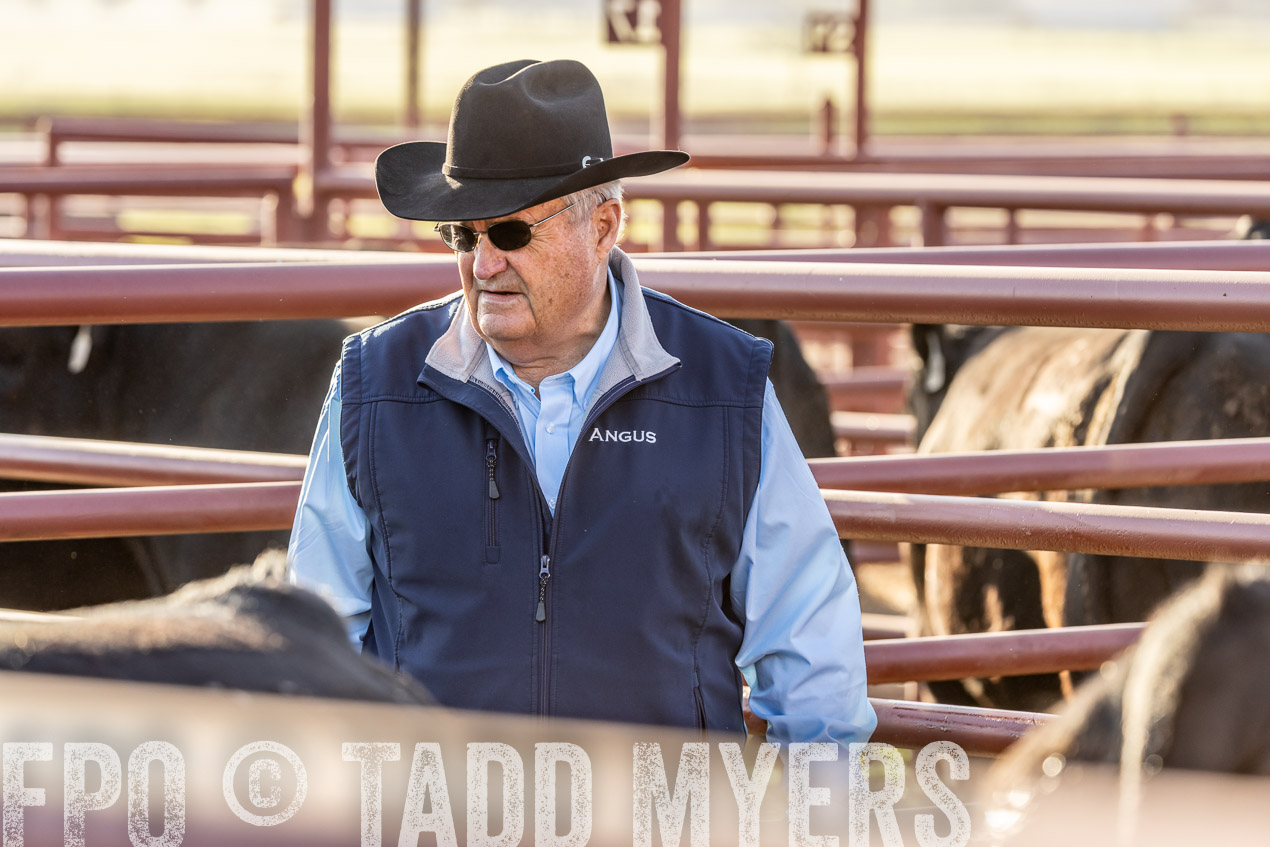 TMyers_SpringBullSale_Cameron_Feb2024-520025