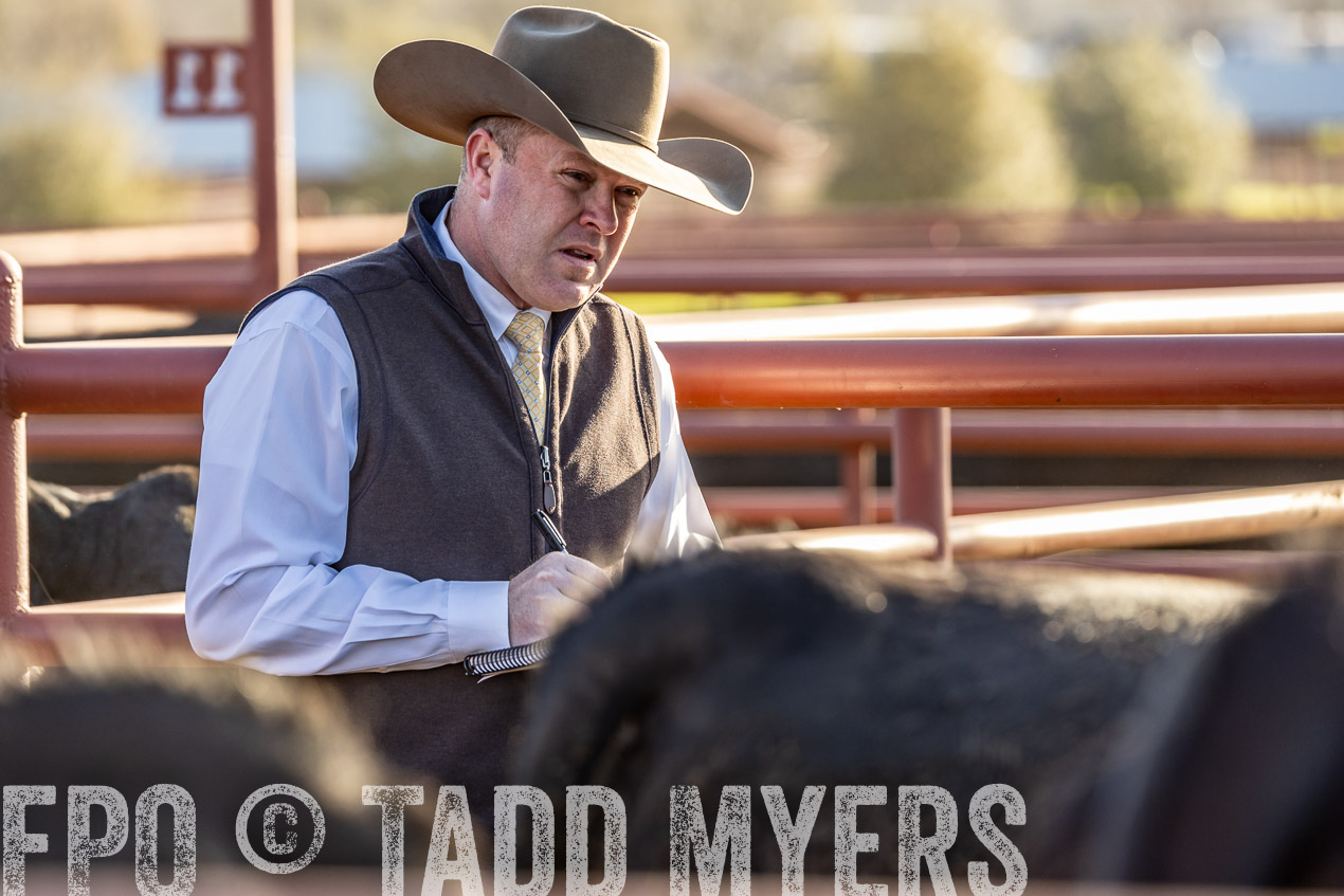 TMyers_SpringBullSale_Cameron_Feb2024-520053