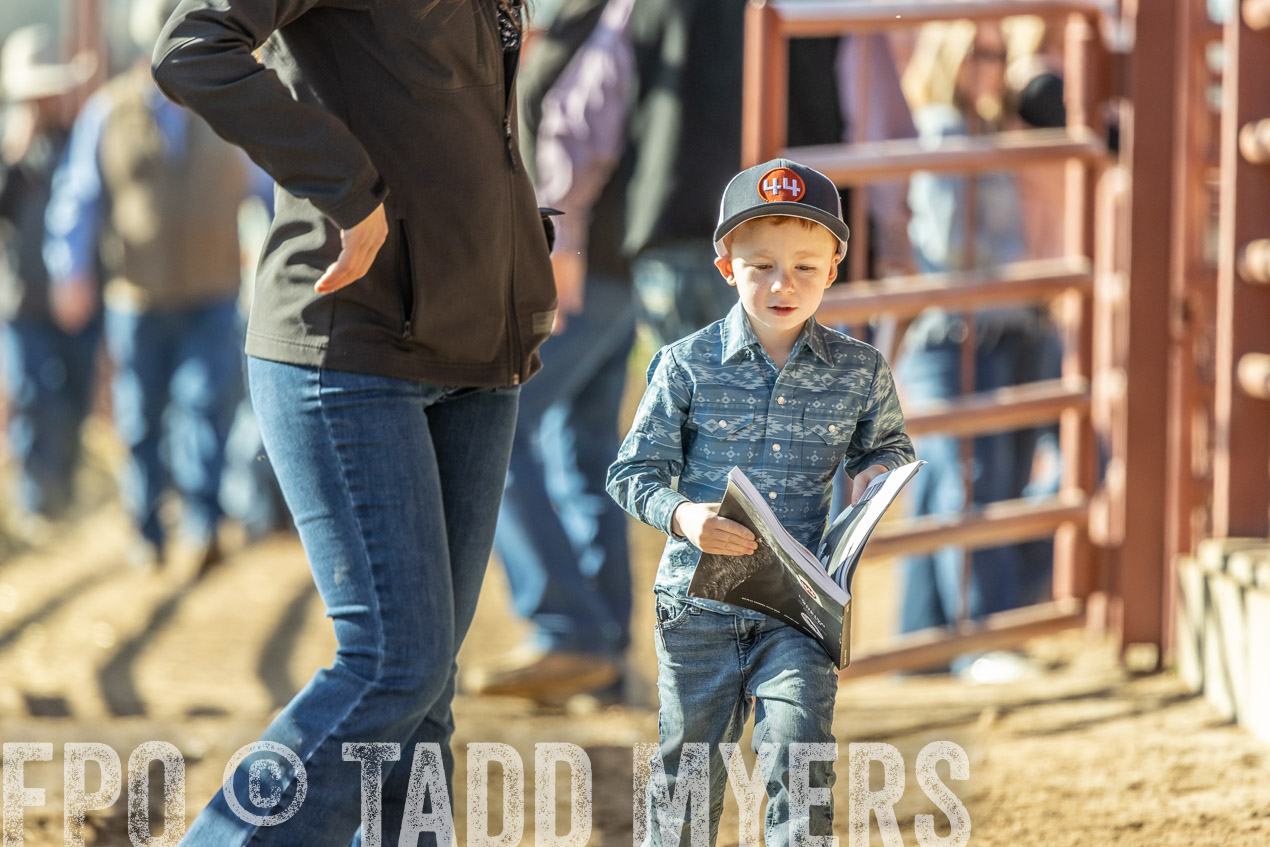 TMyers_SpringBullSale_Cameron_Feb2024-520211