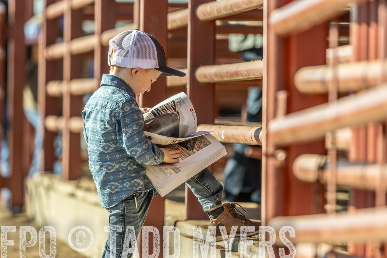 TMyers_SpringBullSale_Cameron_Feb2024-520231