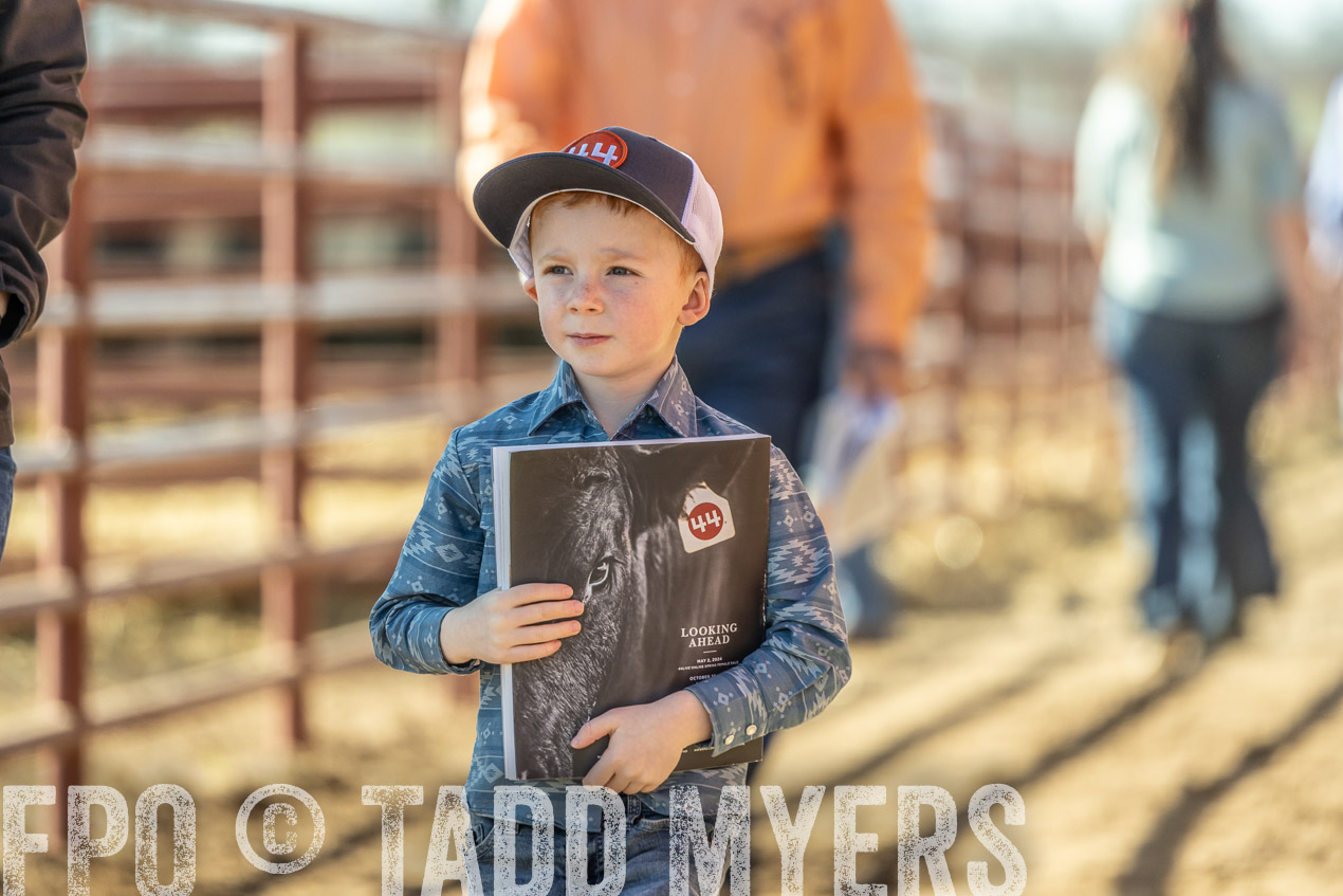TMyers_SpringBullSale_Cameron_Feb2024-520260