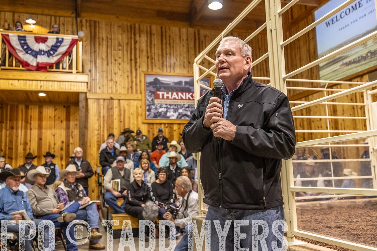 TMyers_SpringBullSale_Cameron_Feb2024-520284