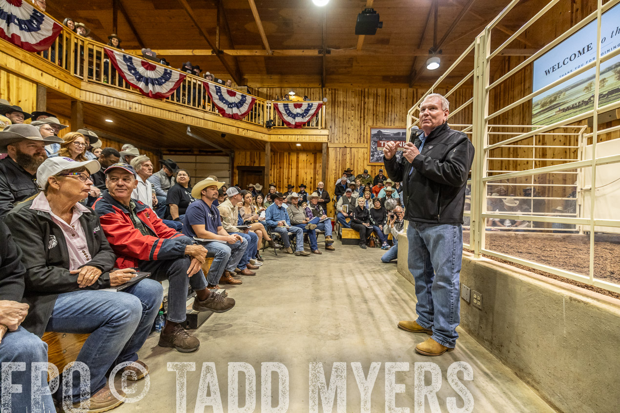 TMyers_SpringBullSale_Cameron_Feb2024-520286