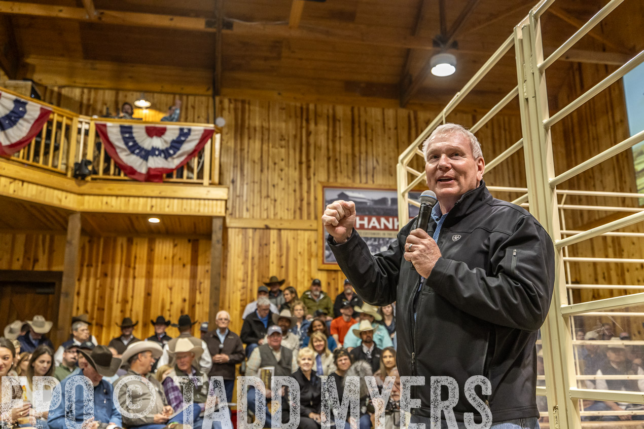 TMyers_SpringBullSale_Cameron_Feb2024-520294