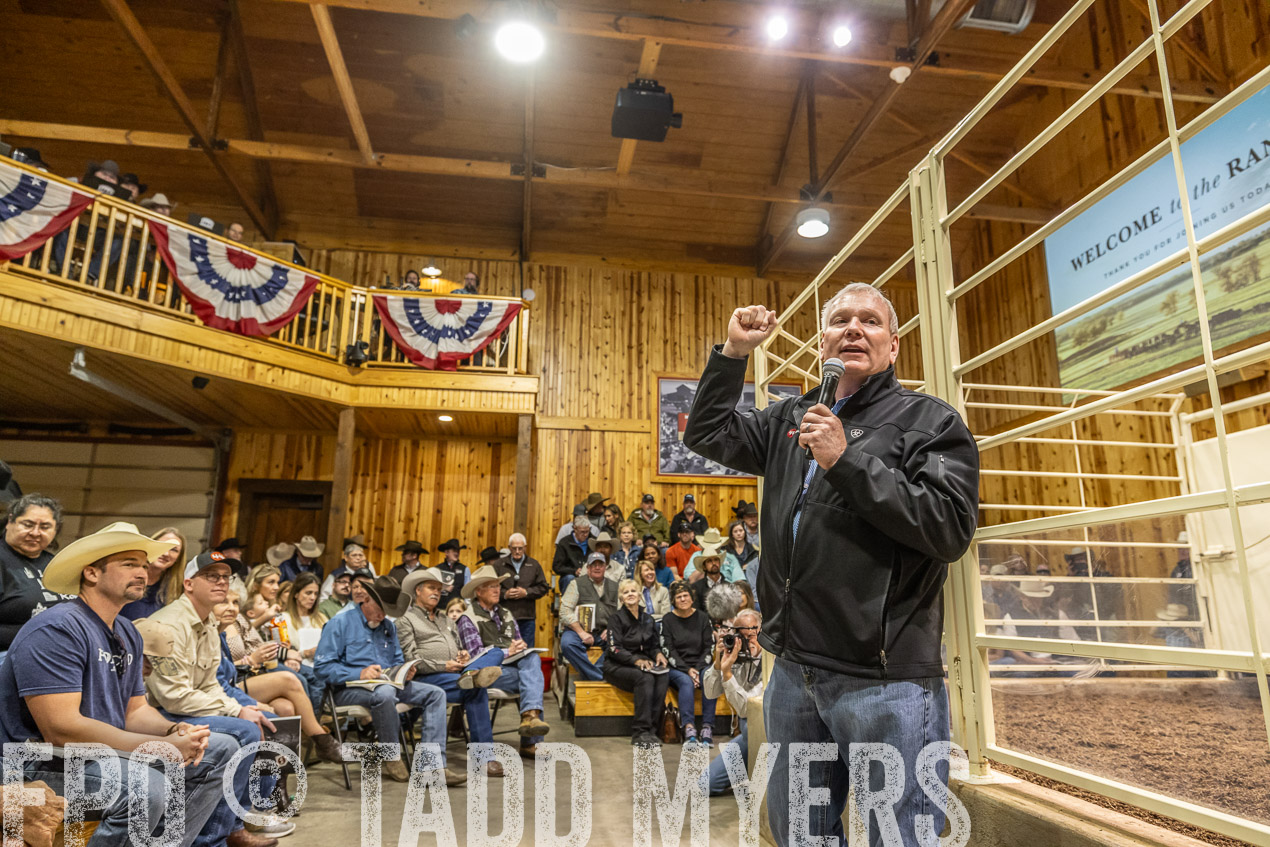 TMyers_SpringBullSale_Cameron_Feb2024-520303