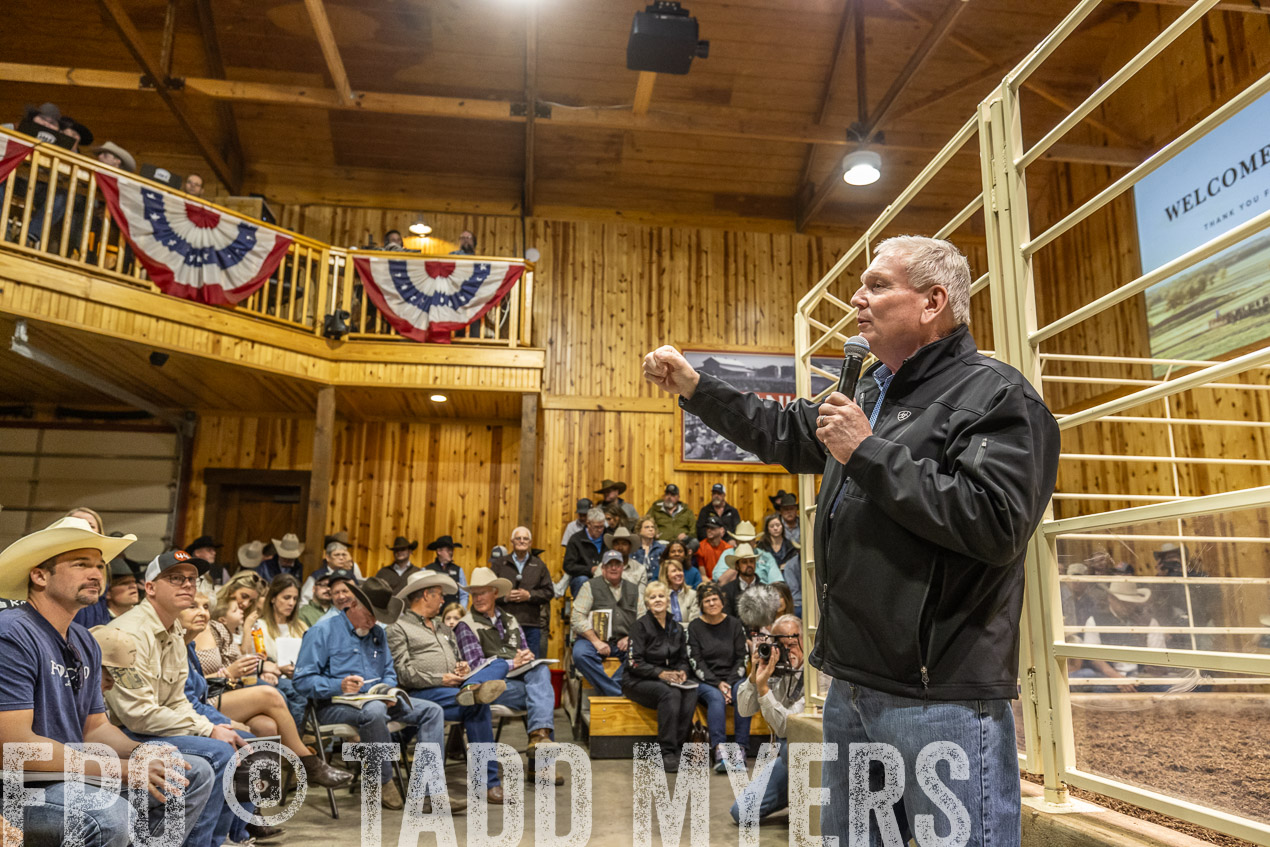 TMyers_SpringBullSale_Cameron_Feb2024-520307