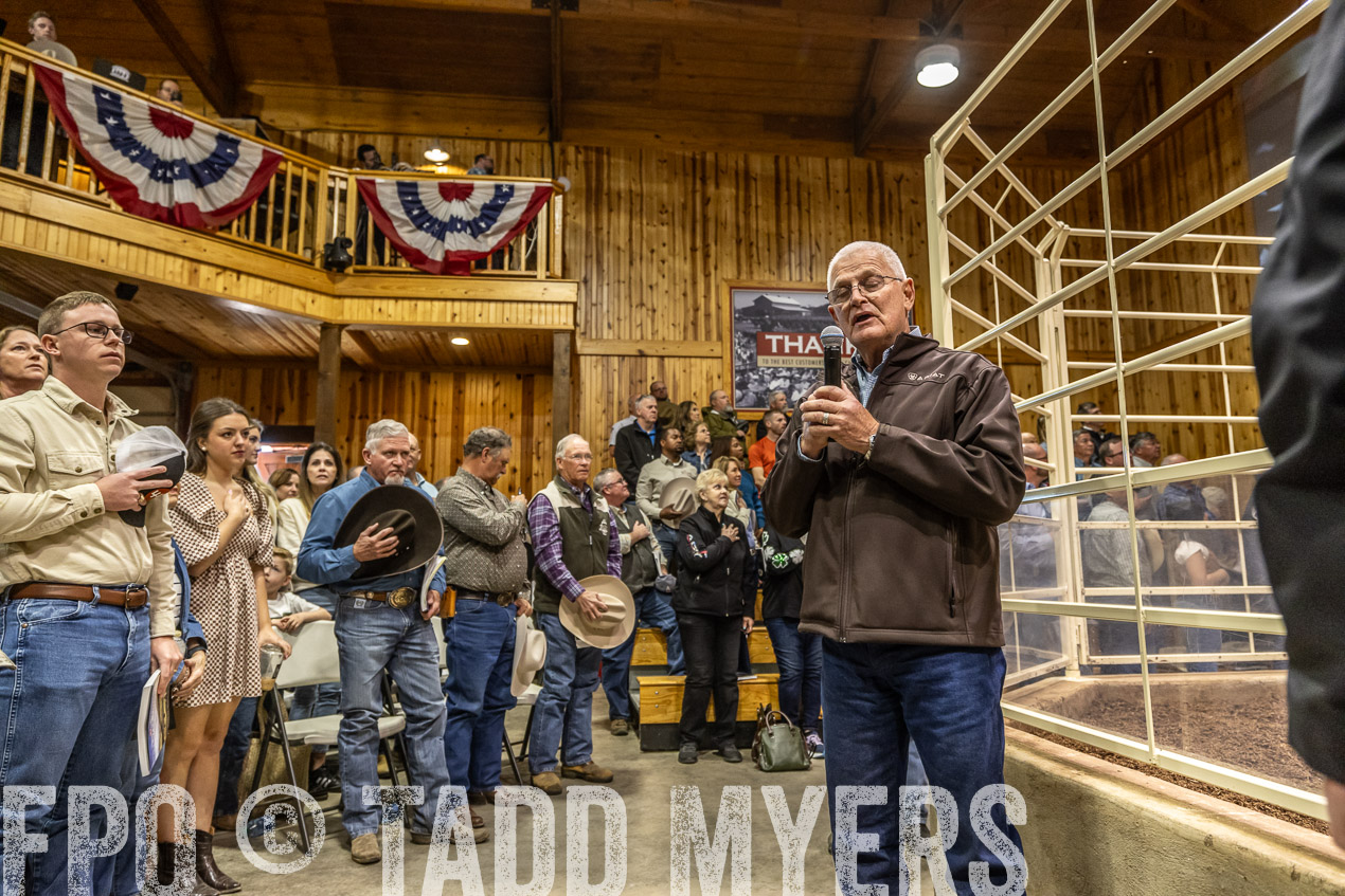 TMyers_SpringBullSale_Cameron_Feb2024-520329
