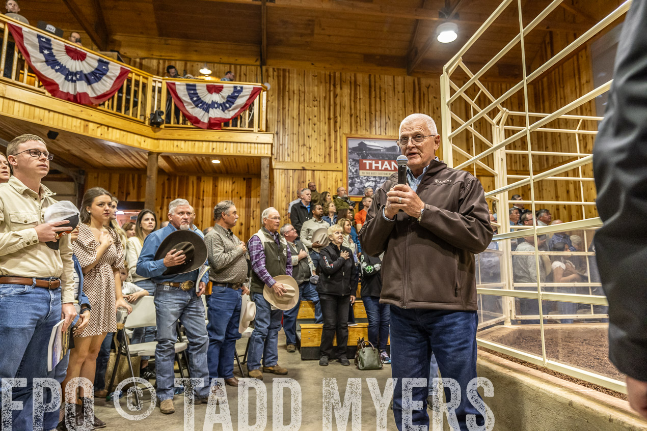 TMyers_SpringBullSale_Cameron_Feb2024-520332
