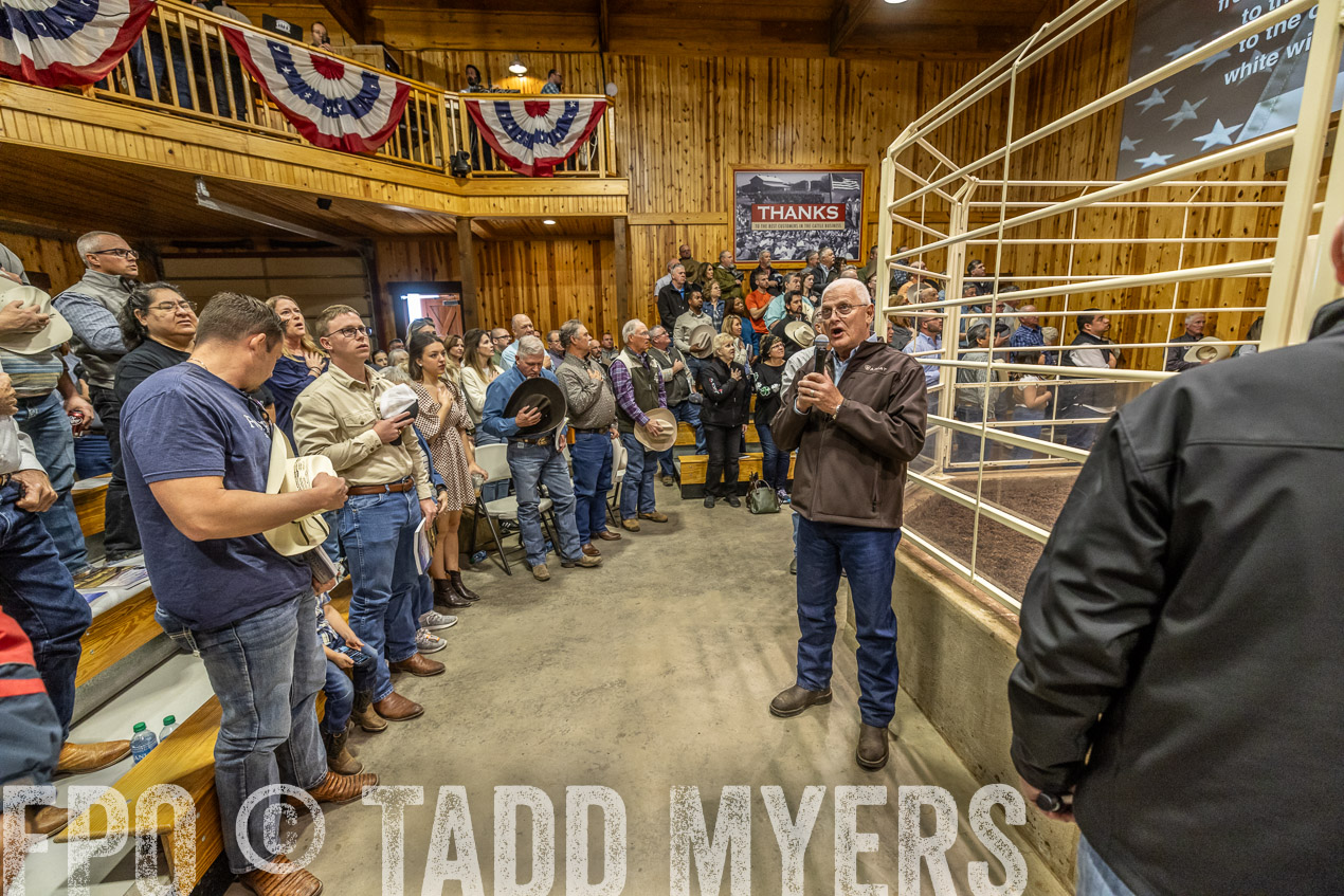 TMyers_SpringBullSale_Cameron_Feb2024-520336