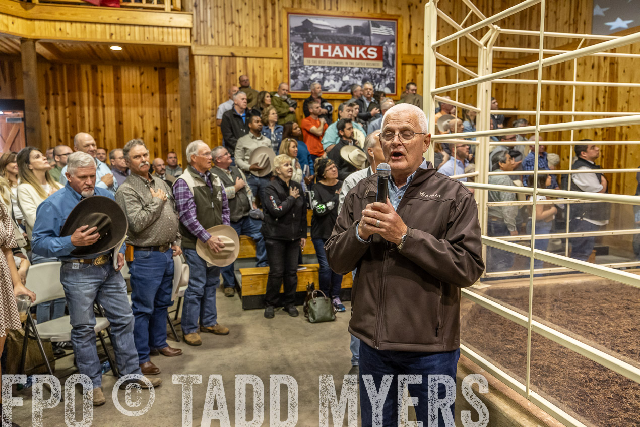 TMyers_SpringBullSale_Cameron_Feb2024-520339