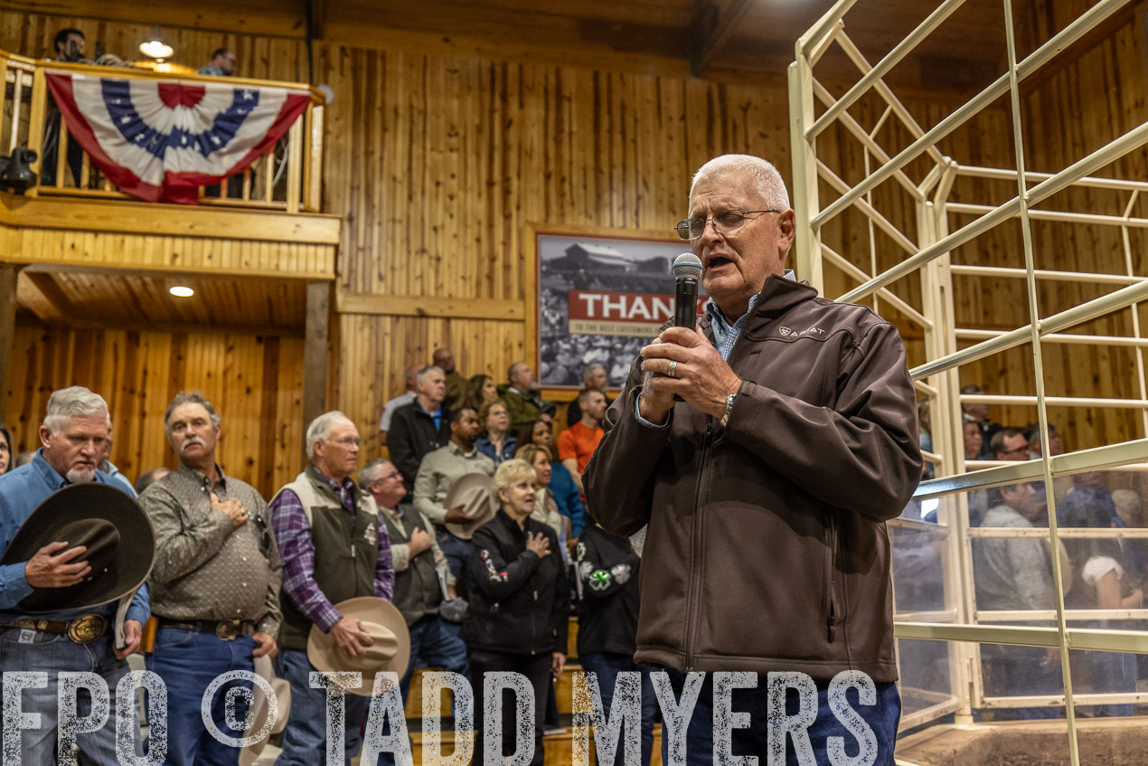 TMyers_SpringBullSale_Cameron_Feb2024-520348