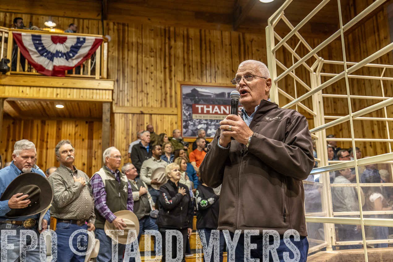TMyers_SpringBullSale_Cameron_Feb2024-520350