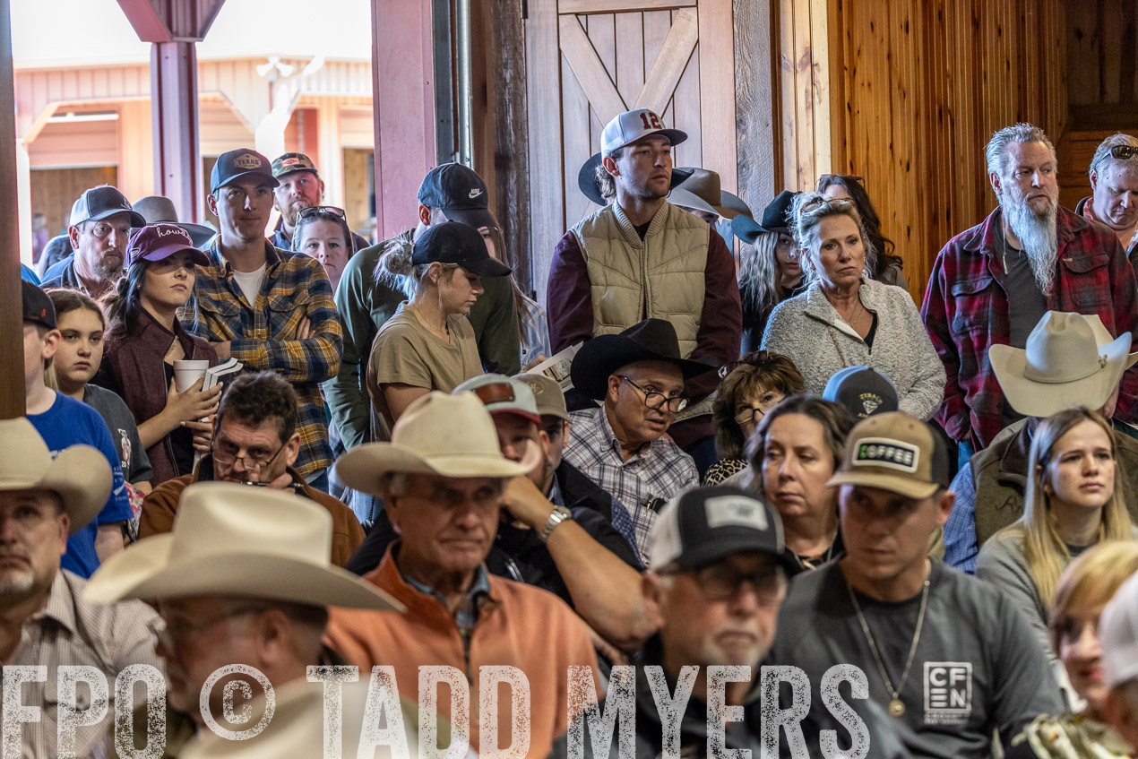 TMyers_SpringBullSale_Cameron_Feb2024-520617