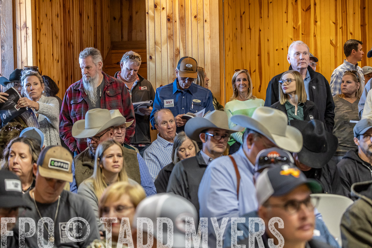 TMyers_SpringBullSale_Cameron_Feb2024-520624