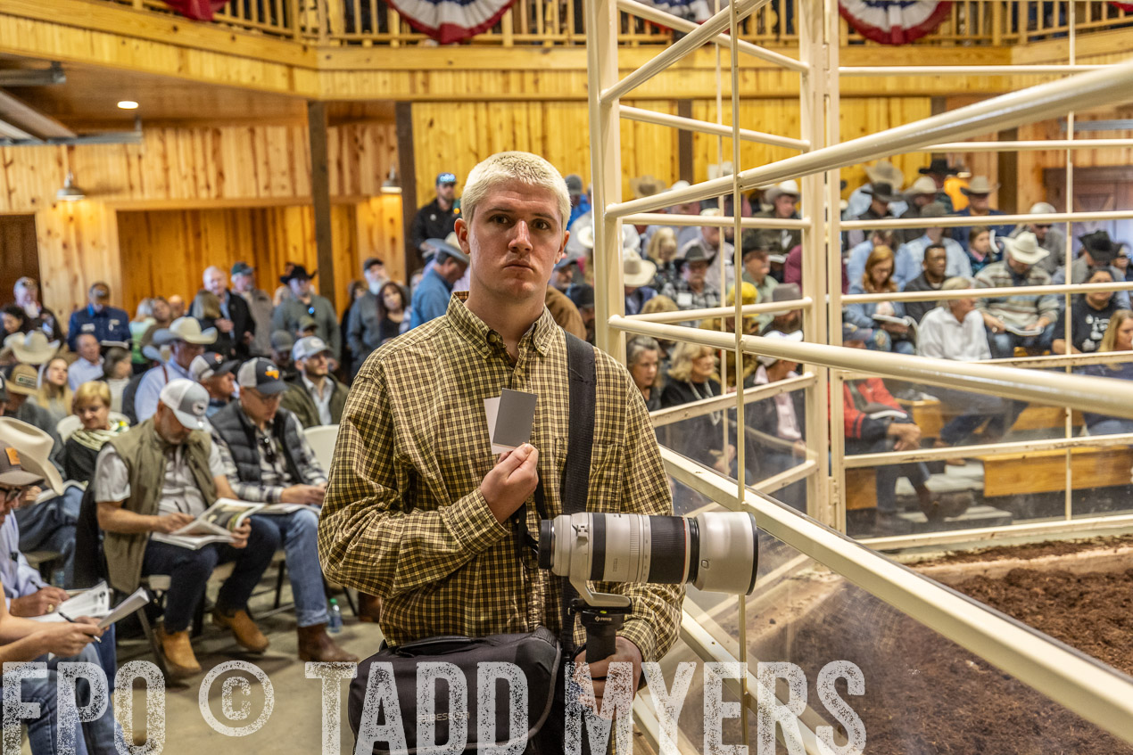 TMyers_SpringBullSale_Cameron_Feb2024-520770