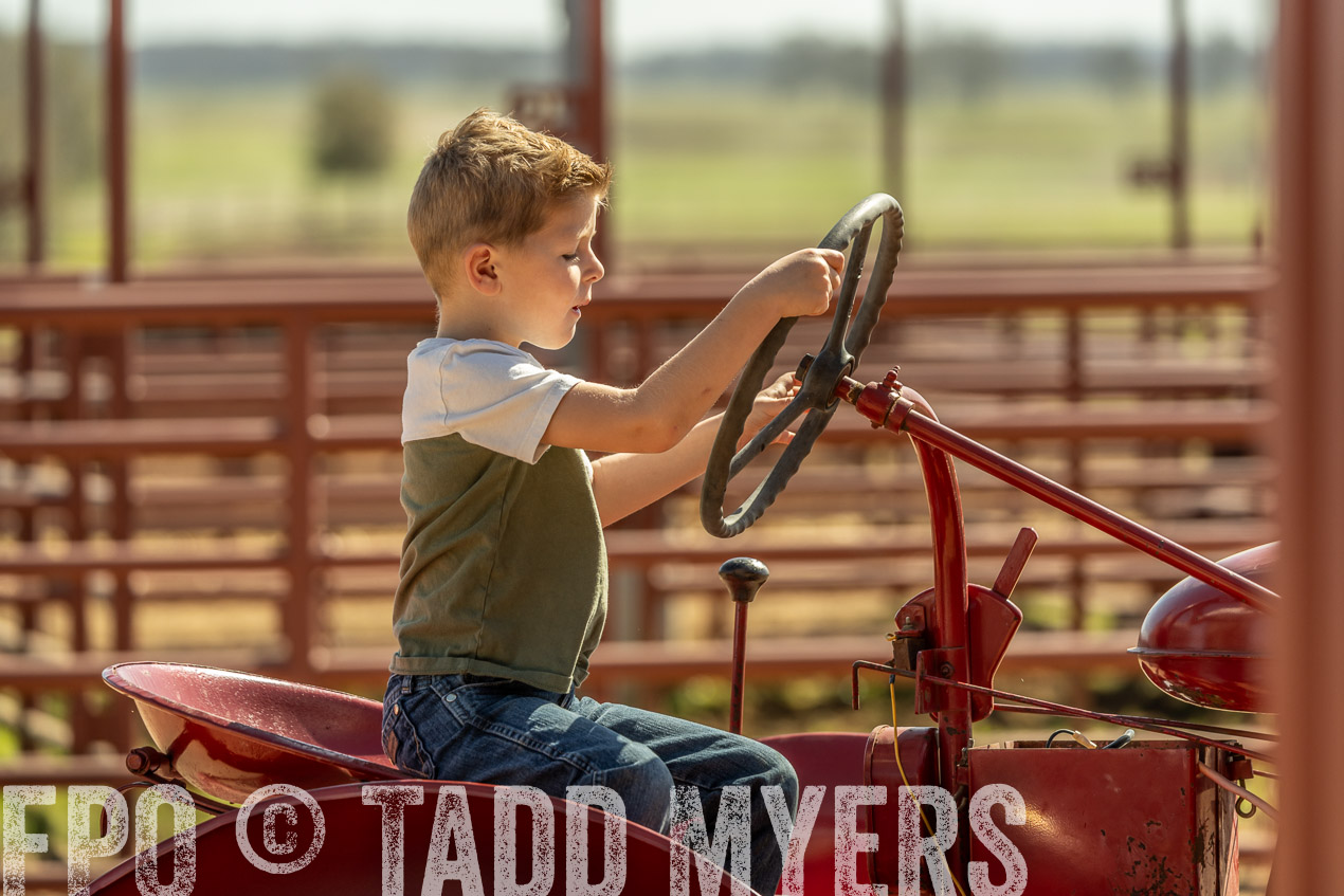 TMyers_SpringBullSale_Cameron_Feb2024-520799