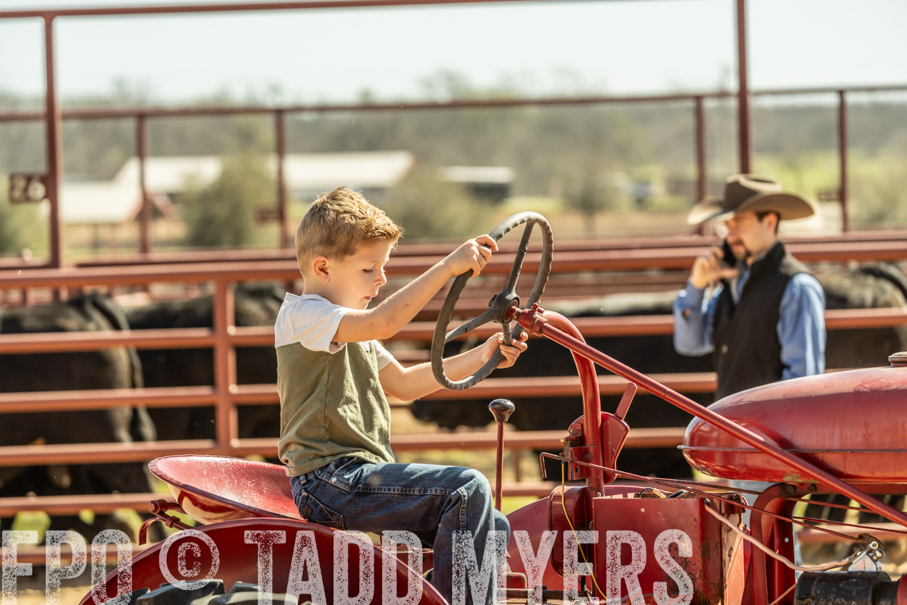 TMyers_SpringBullSale_Cameron_Feb2024-520812