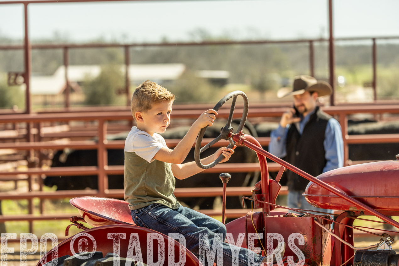 TMyers_SpringBullSale_Cameron_Feb2024-520817
