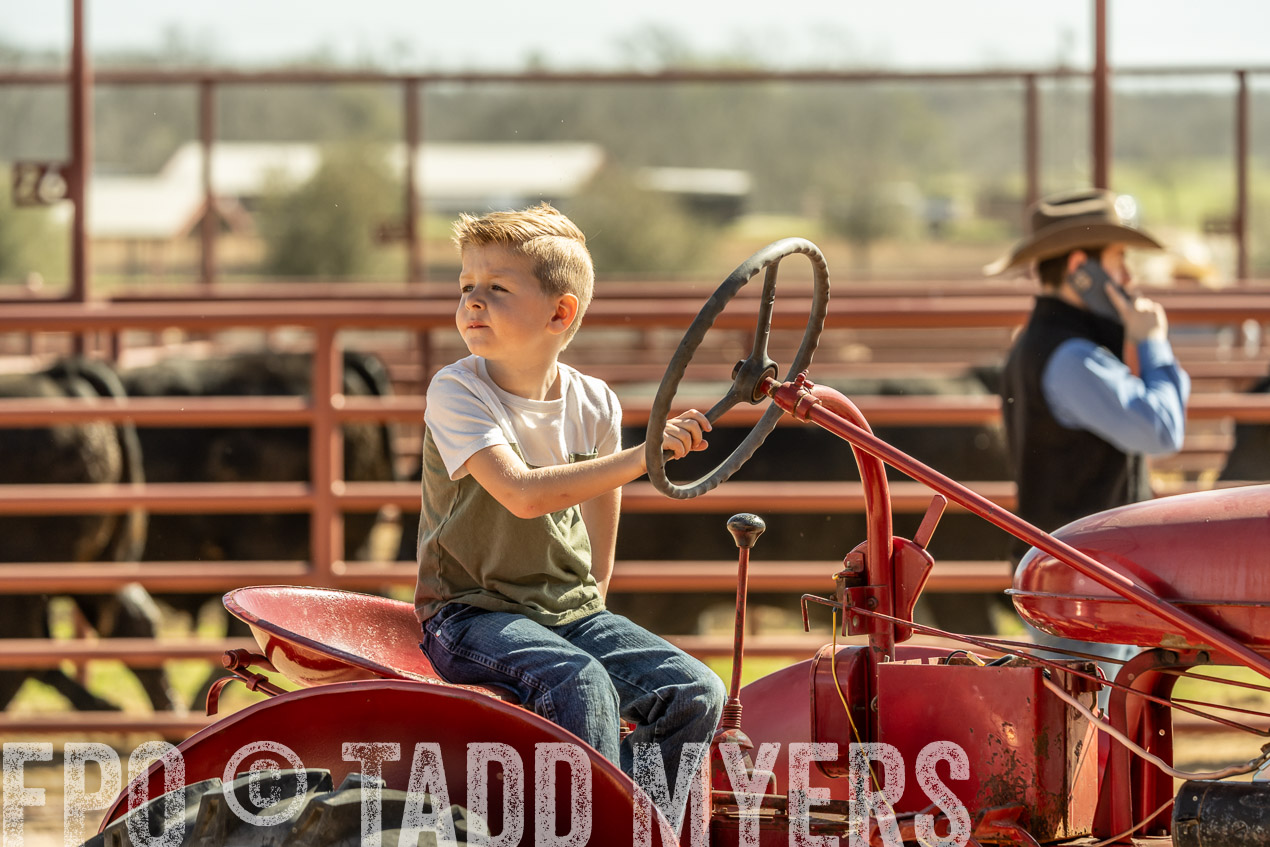TMyers_SpringBullSale_Cameron_Feb2024-520826