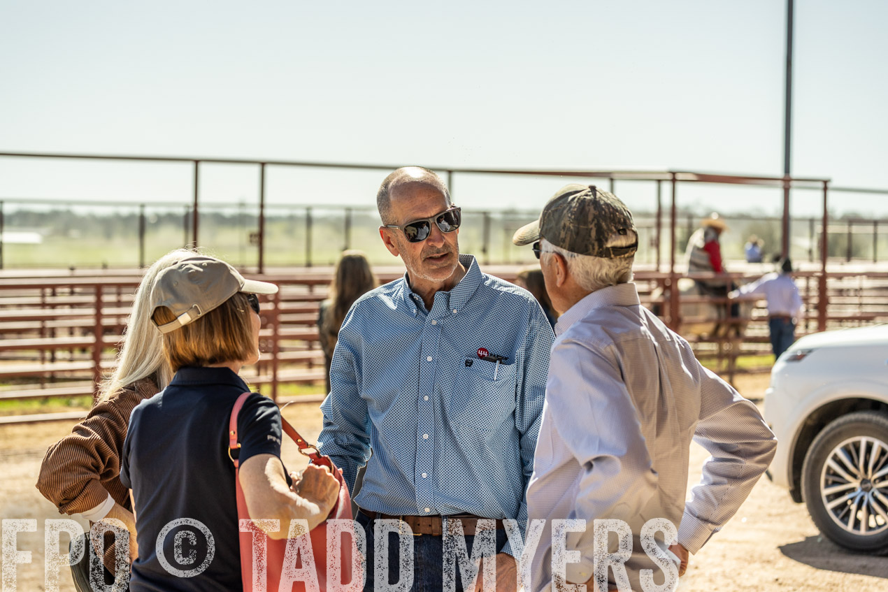 TMyers_SpringBullSale_Cameron_Feb2024-520833
