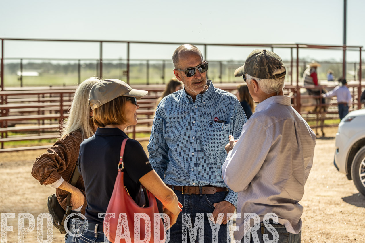 TMyers_SpringBullSale_Cameron_Feb2024-520838