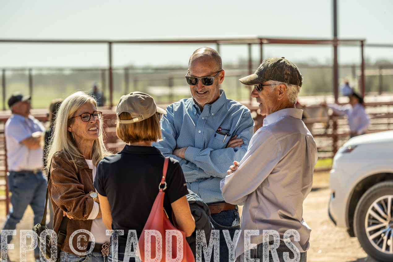 TMyers_SpringBullSale_Cameron_Feb2024-520843