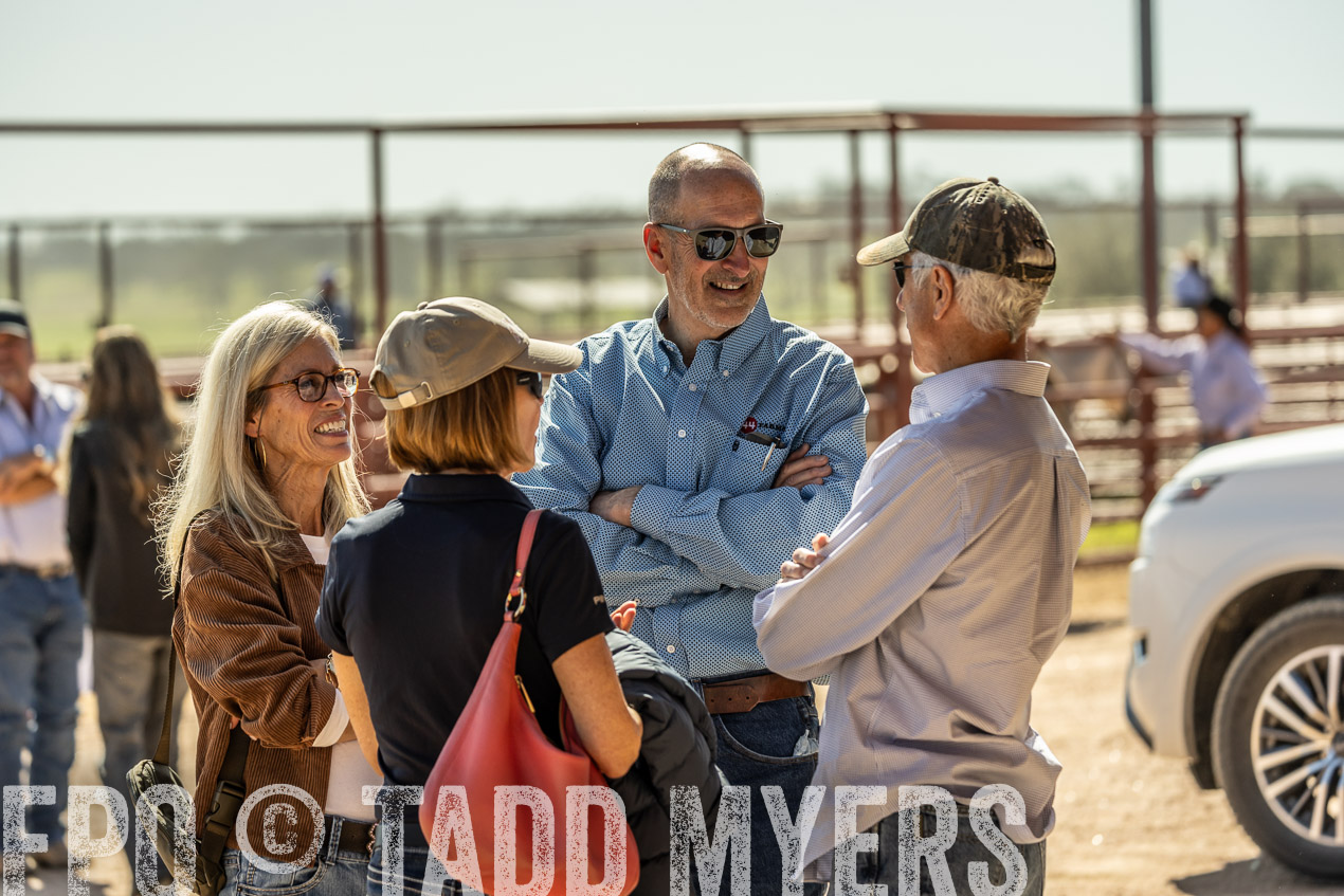 TMyers_SpringBullSale_Cameron_Feb2024-520845
