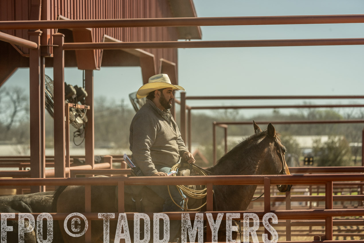 TMyers_SpringBullSale_Cameron_Feb2024-520849