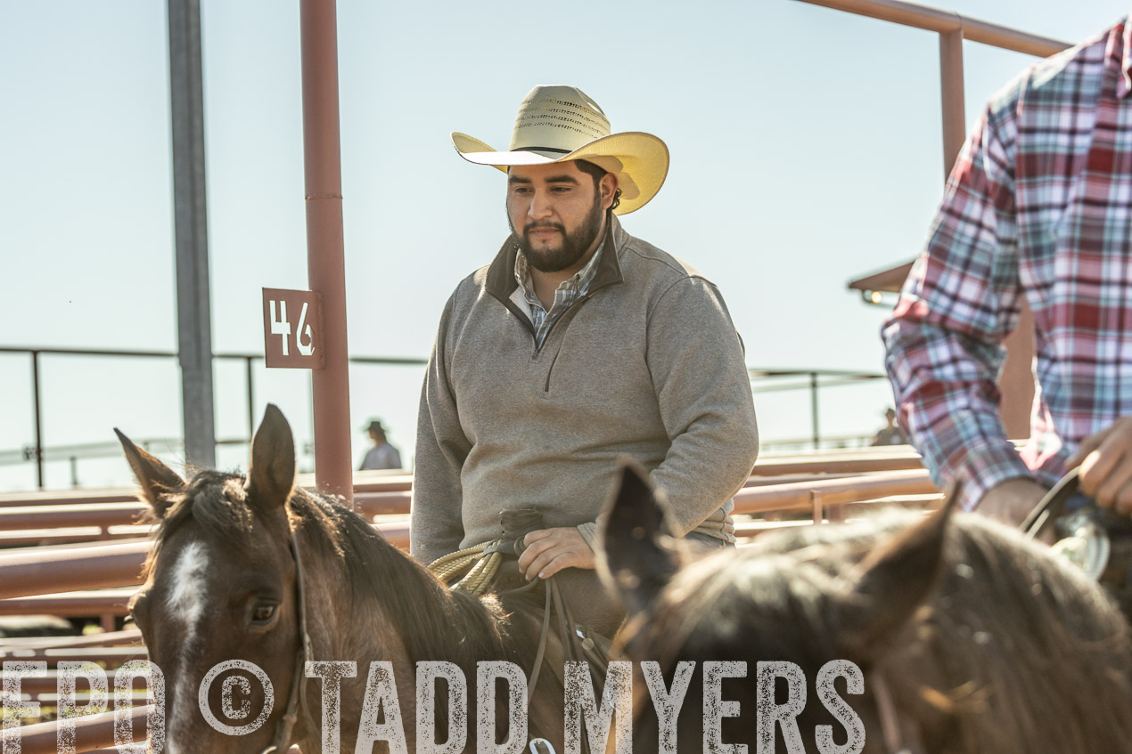TMyers_SpringBullSale_Cameron_Feb2024-520897