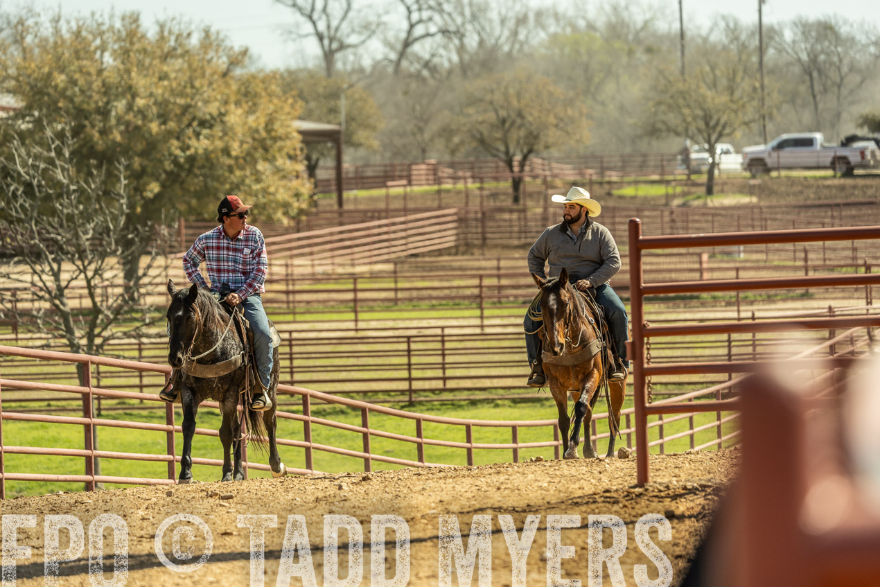 TMyers_SpringBullSale_Cameron_Feb2024-520900