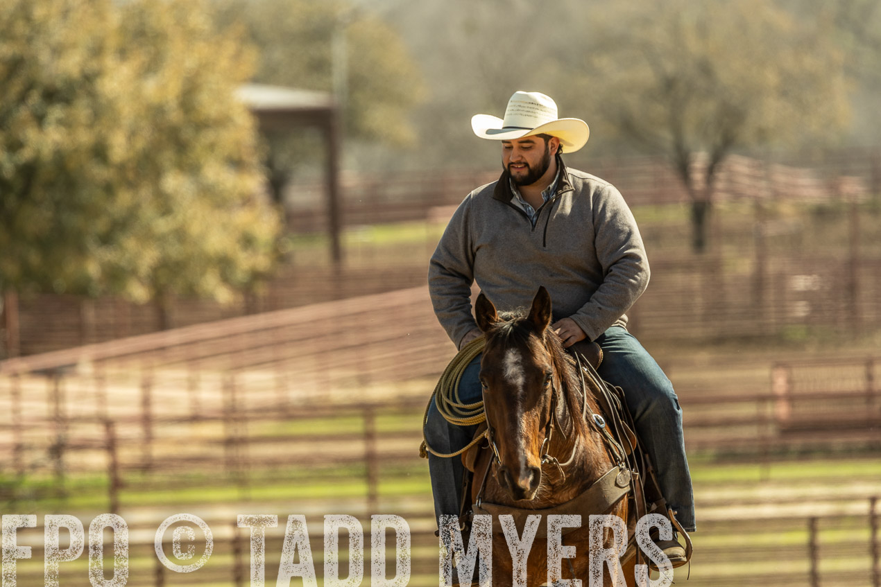 TMyers_SpringBullSale_Cameron_Feb2024-520908