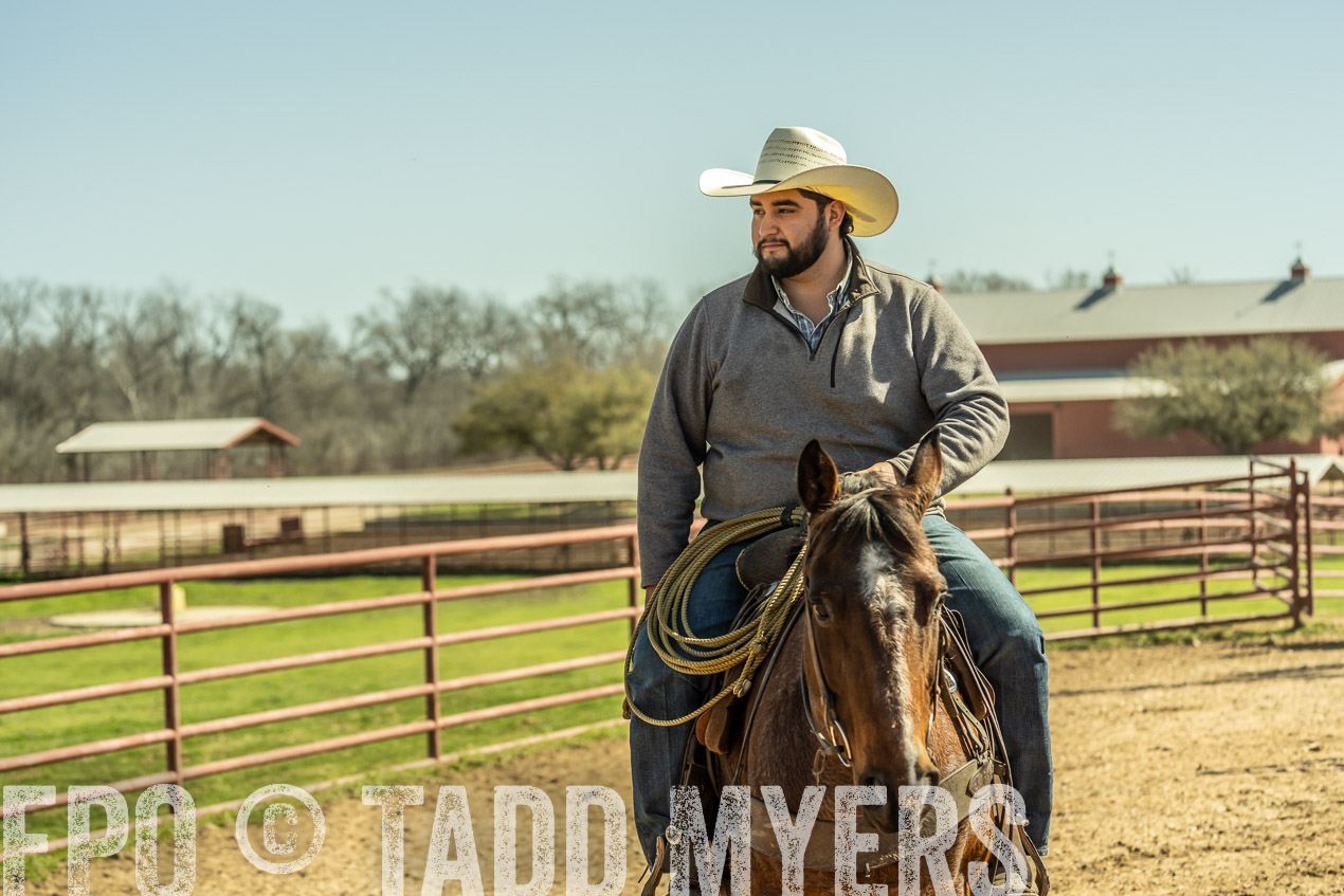 TMyers_SpringBullSale_Cameron_Feb2024-520942