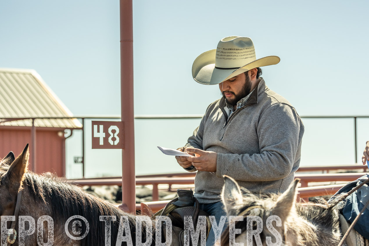 TMyers_SpringBullSale_Cameron_Feb2024-520950