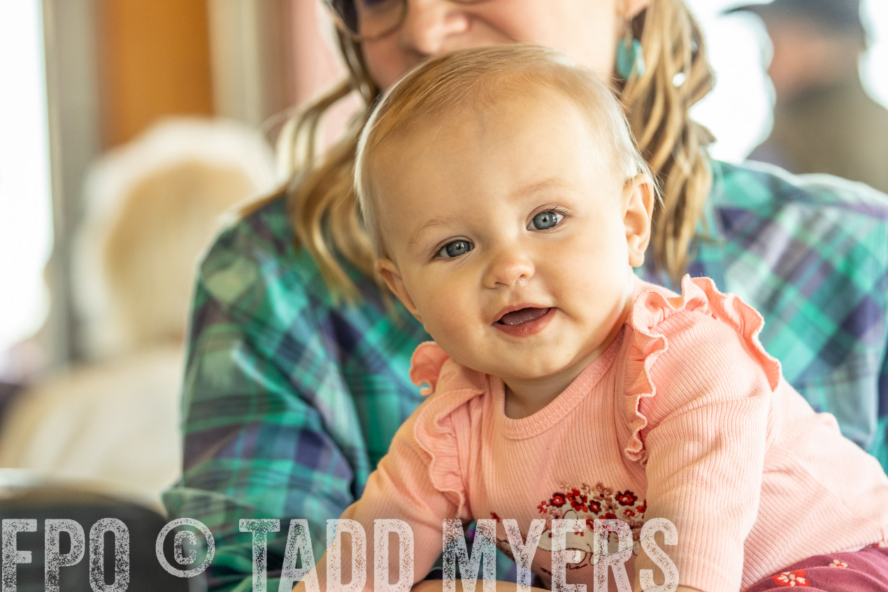 TMyers_SpringBullSale_Cameron_Feb2024-521047